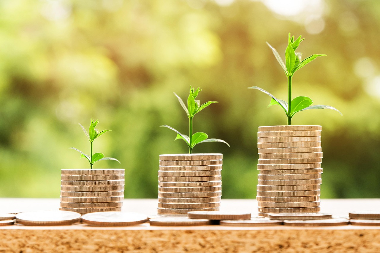 Trusted Bellevue Window Installation Experts You Can Count On